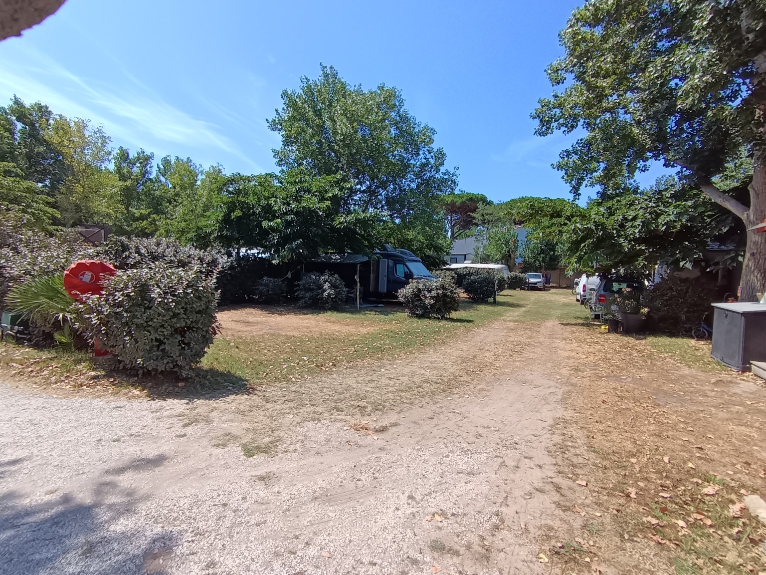 Allée végétalisée du Camping Le Rieu