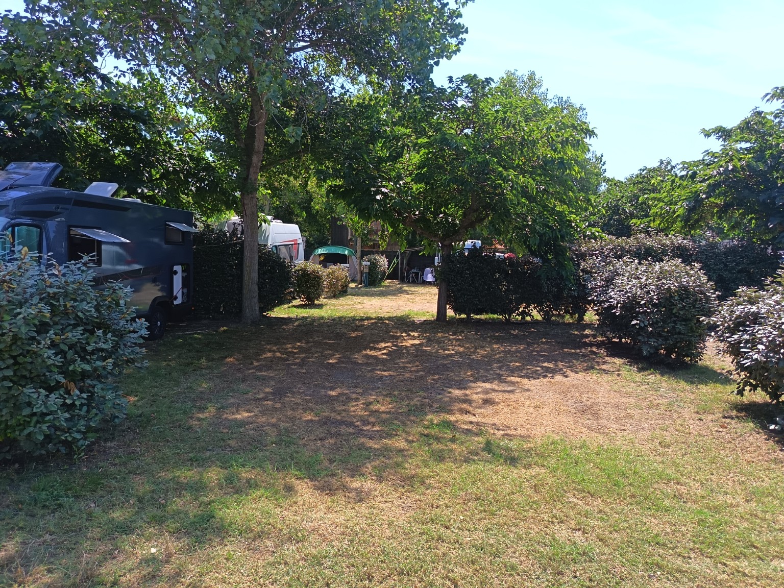 Allée ombragée du camping