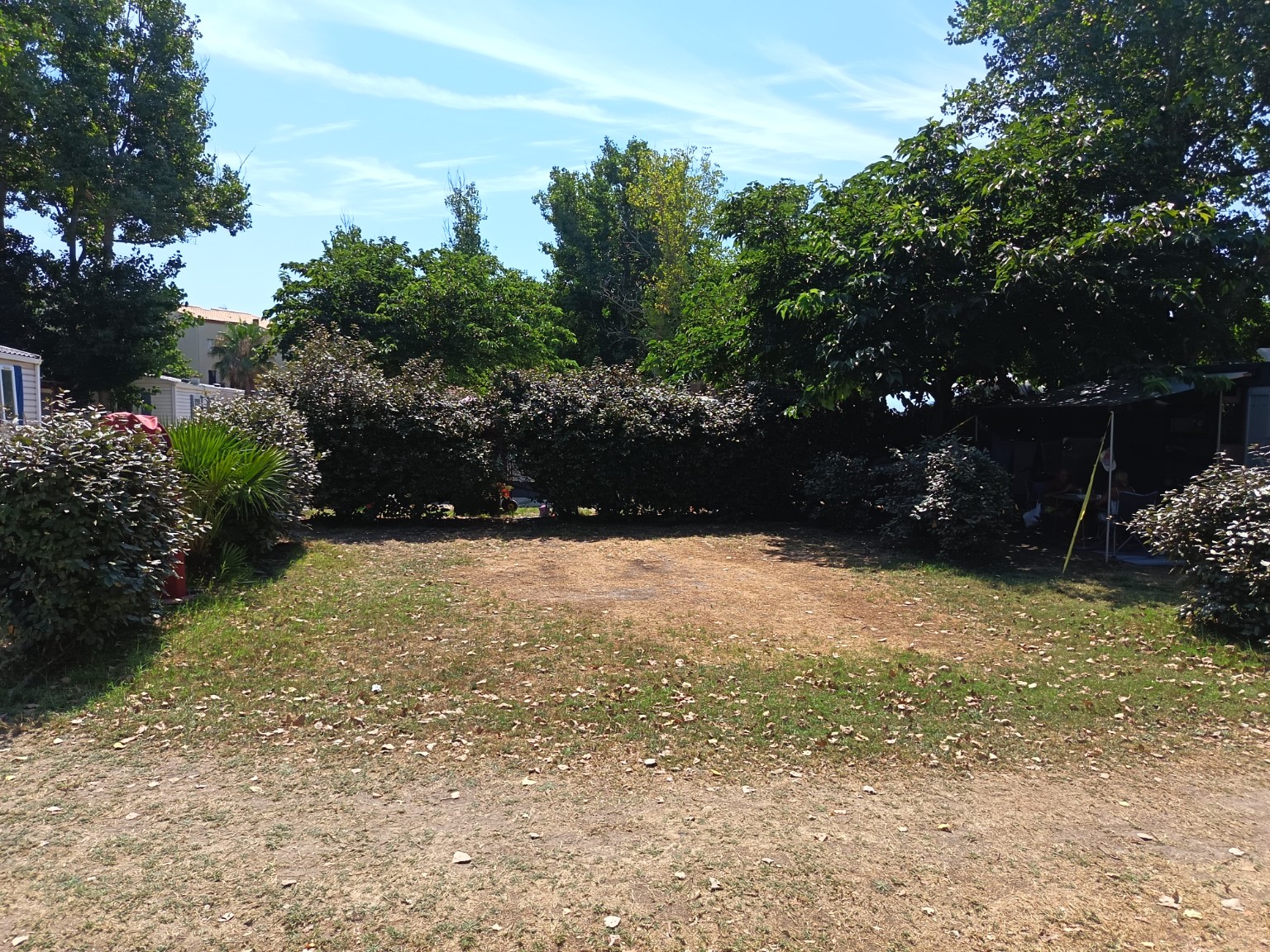 Emplacement arboré du Camping Le Rieu