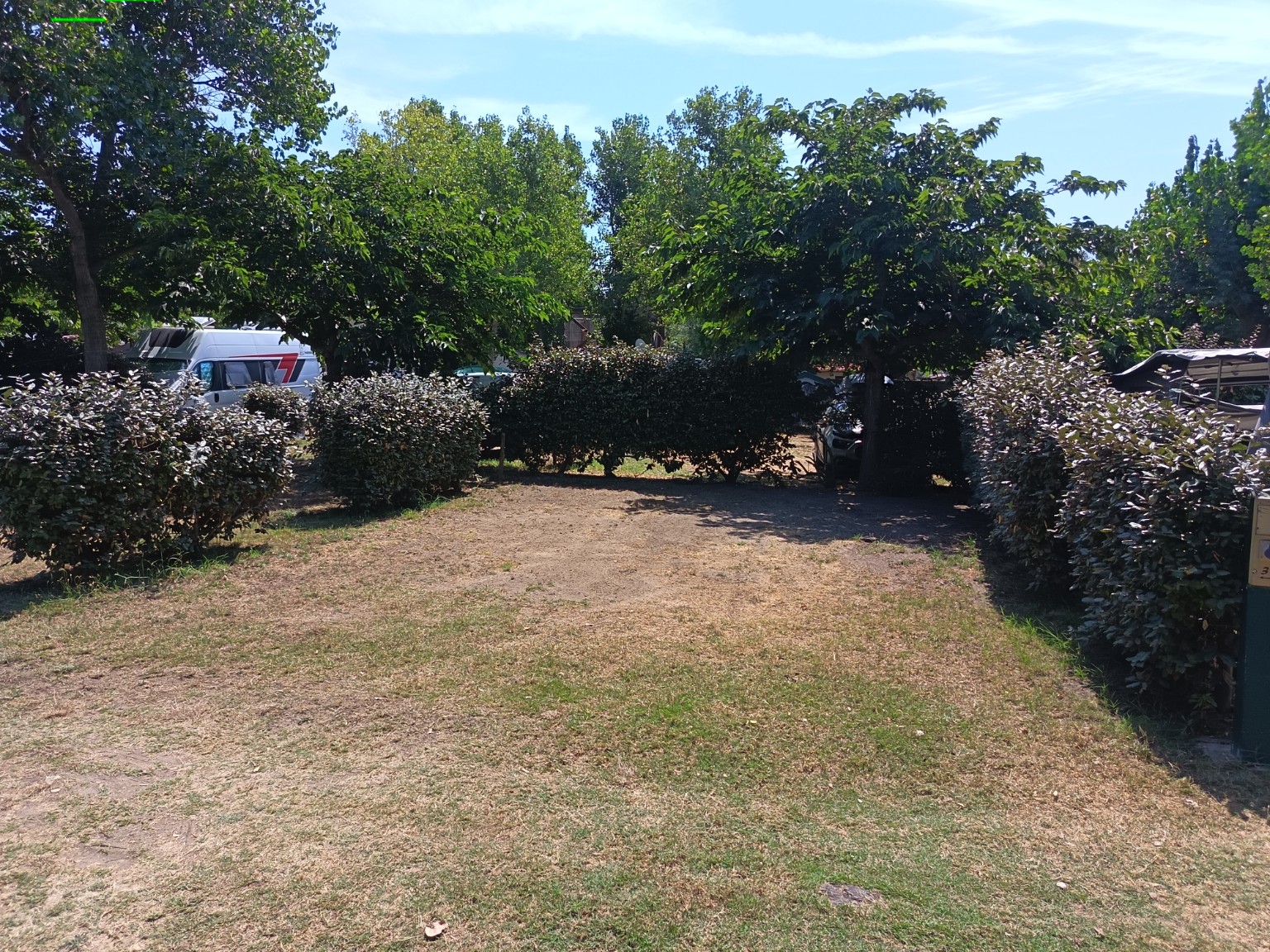 Emplacement bordé de végétation